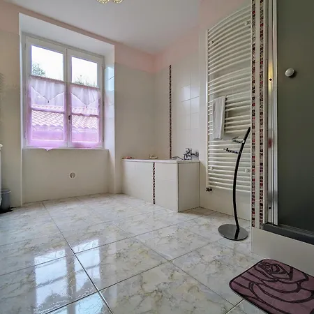 Apartment Xixe Siecle - Centre-ville Du Puy-en-velay, 2 Chambres, Confort, Proche Monuments - Fr-1-582-6 Le Puy-en-Velay