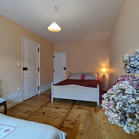 Xixe Siecle - Centre-ville Du Puy-en-velay, 2 Chambres, Confort, Proche Monuments - Fr-1-582-6 *